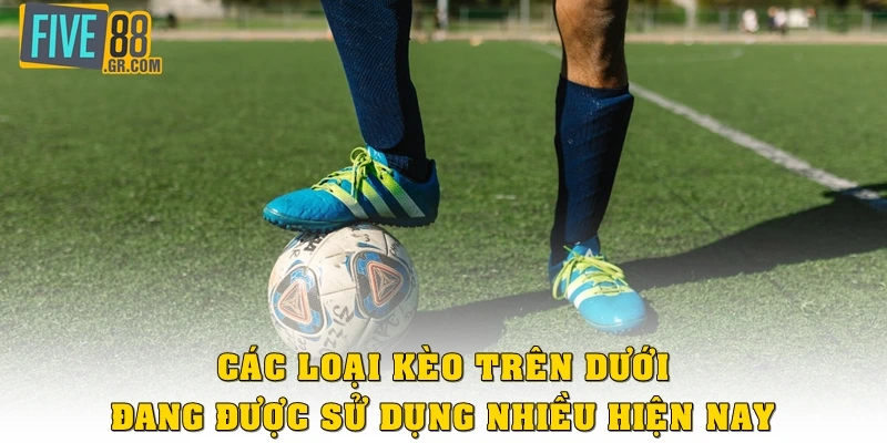 Các loại kèo trên dưới đang được sử dụng nhiều