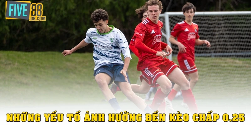 Những yếu tố ảnh hưởng đến kèo 0.25